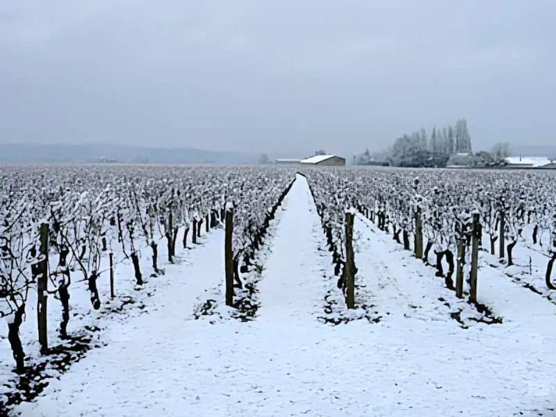 More Snow