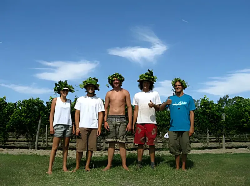 Temporary Work Crew for the Green Harvest