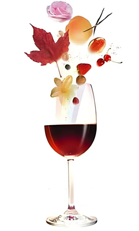 Wine Names and Characteristics