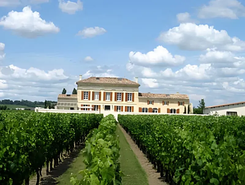 Terroir Wine