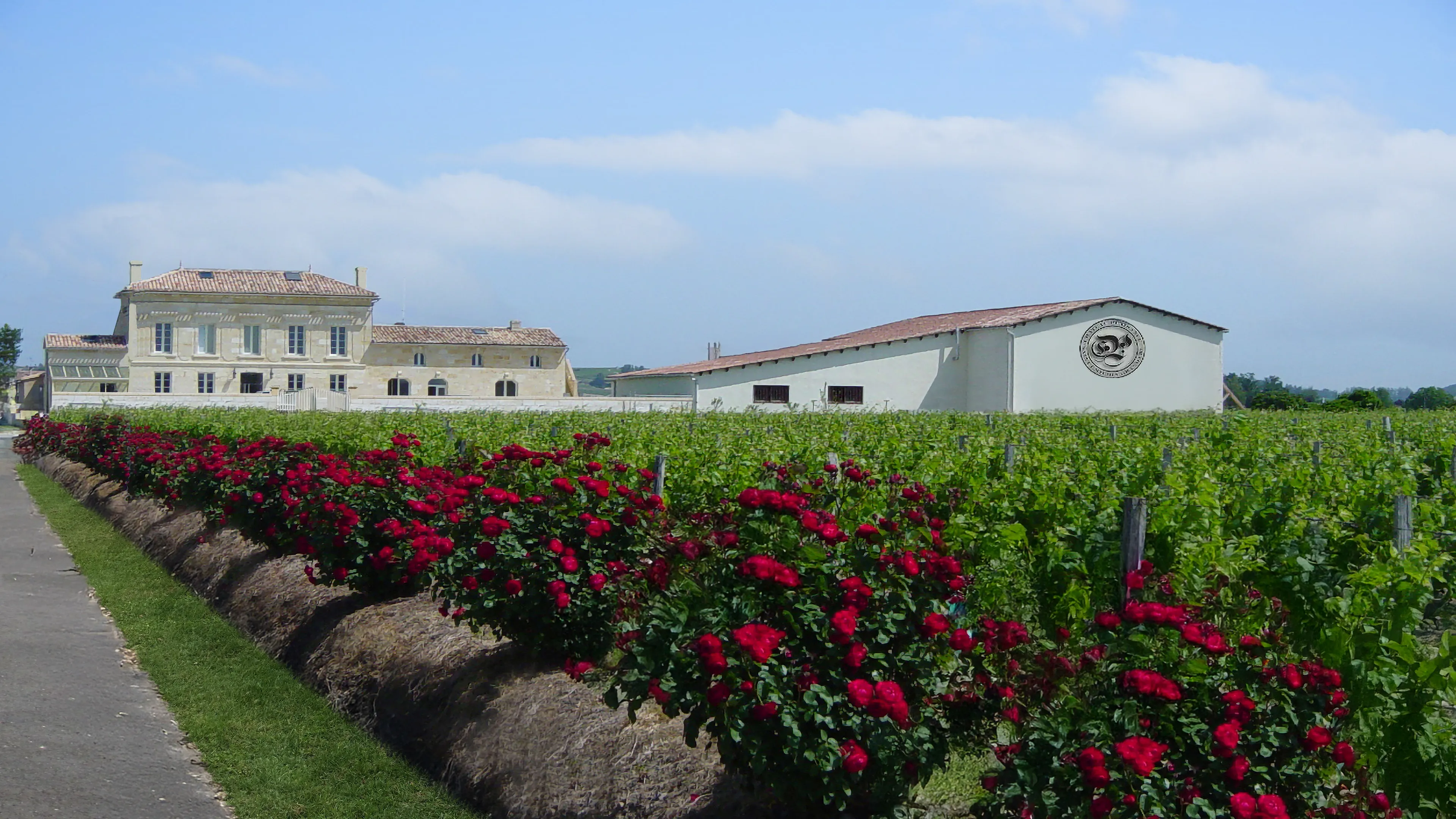 The historic Château Plaisance estate in Saint-Émilion, a family-owned winery producing Bordeaux Grand Cru wines since 1881, is showcased with its vineyard, traditional château, and modern cellar buildings under a blue sky. Red roses line the vibrant green vineyard in the foreground.