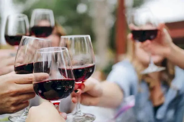Dernières actualités du vignoble et domaine Château Plaisance