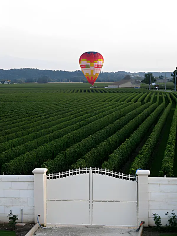 Une montgolfière colorée flottant au-dessus d'un vaste vignoble vert sous un ciel clair, avec un portail blanc au premier plan au Château Plaisance.