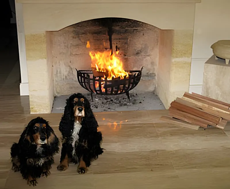 Two black and tan cocker spaniels sitting in front of a roaring fire in a stone fireplace.