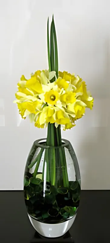 Un bouquet vibrant de jonquilles jaunes arrangé dans un vase en verre transparent, symbolisant l'arrivée du printemps.